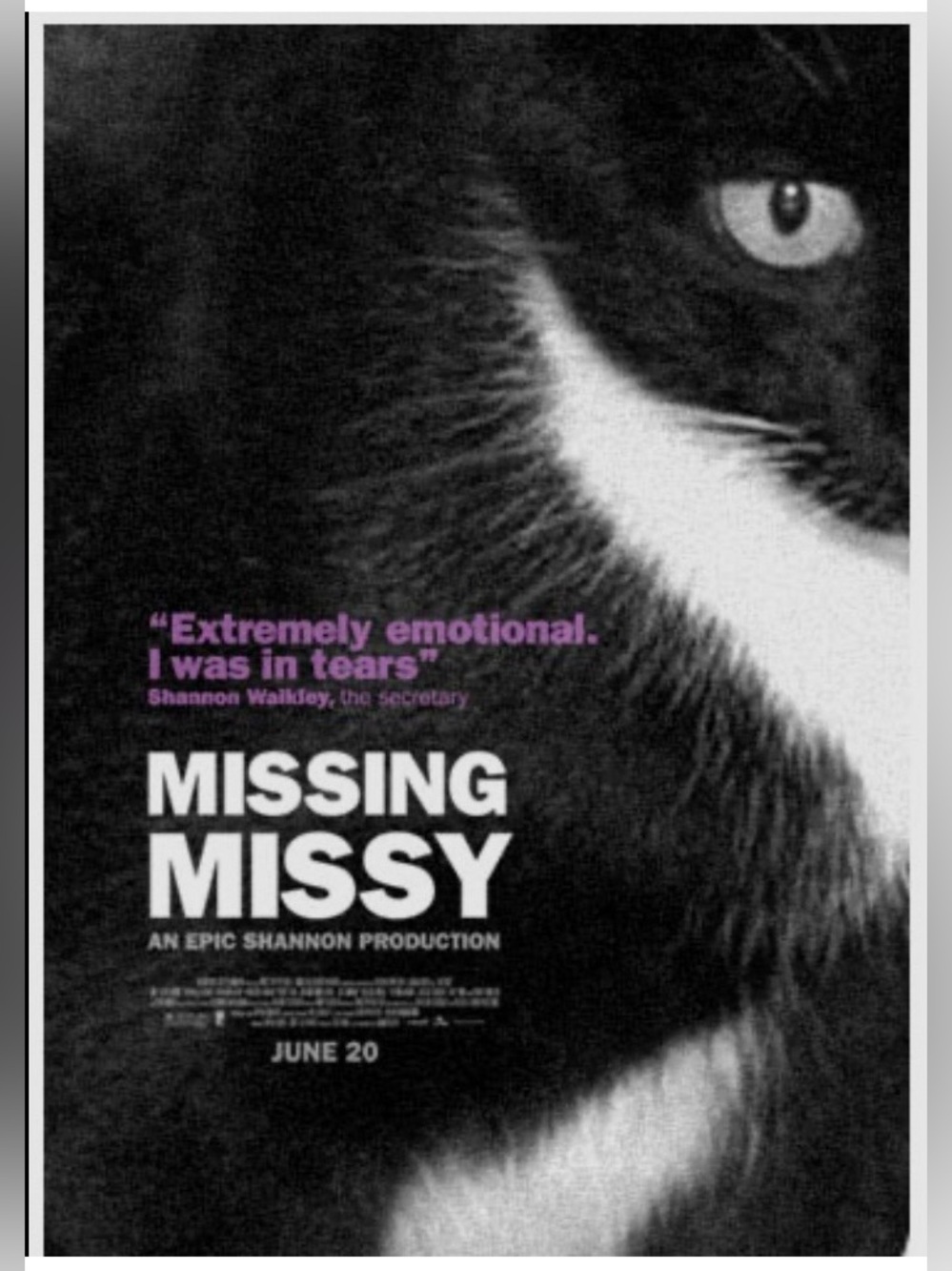 Missing Missy, Framed Cat Movie Poster, Black, 22.375” x 34”, New